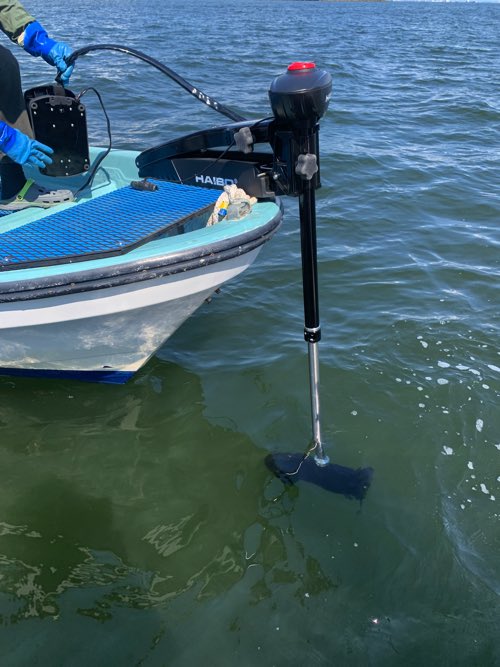 󥿥ʿ쥢ߡܤˡHAIBO WFT54LB33硼ȥեȡ̵ʳ/եåȥ/12V54lb