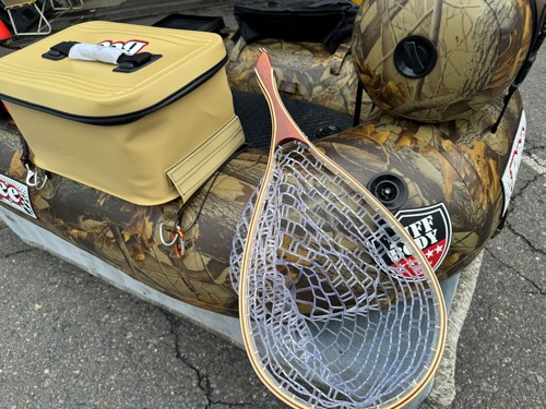 ���ꥫ�⥫�顼�����̥�����̵��/BEE130U-TF ���եܥǥ���