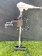 SUP�˺�Ŭ��HAIBO ���硼�ȥ��쥭D34 /34lb�����硼��30in�������б�