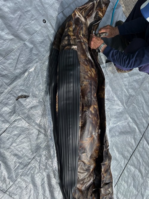 �ݥ�ġ���/BEE VERTEX9/�¿�����¦2�������塼�ֺ���