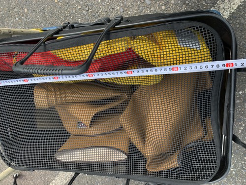 ������Ǽ���緿�ɿ�Хå����BEE �ǥå��� 70cm��70/45/40cm