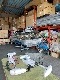 HAIBO 12V/�磻��쥹��GPS��� P65 12V/���ݥåȥ��å�����/�եåȥڥ�����