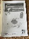 HAIBO 12V/�磻��쥹��GPS��� P65 12V/���ݥåȥ��å�����/�եåȥڥ�����
