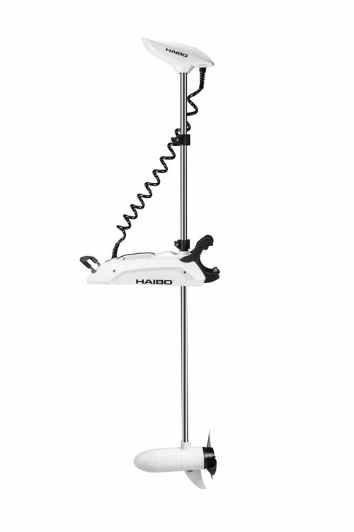 �Ƕ��Υ��󥫡����å���ǽ�ա�HAIBO P125��36V-125lb 72������ޤ���100������κ�Ĺ254cm����եȡ����������Τ�