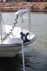 �Ƕ��Υ��󥫡����å���ǽ�ա�HAIBO P125��36V-125lb 72/80/100������κ�Ĺ254cm��3����������ޤ�
