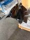 HAIBO M250/M150�ѤΥ֥饷�쥹�⡼�����ѡ�BEE�ѥ�ɡ��ࡦ9�����١����㤤����
