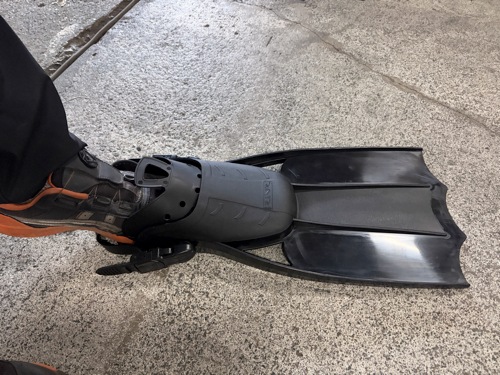 ��ȴ������줺��Ŭ���곫���ե���50cm�������ڥ����٥���ա��ե��󥻡��С��դ����Ѱա�