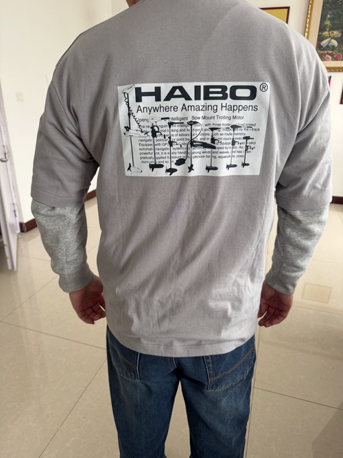 HAIBO T����ġ�S〜XL�������ޤǡ����������Ǻࡢ��100�󡢤����ʲ��ʤǤ���