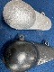 1.35kgХ뷿κǷ̤ޤŤ3lb6LBꥷС顼١