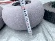 ���ͤ˶���������¥Х롼�󥿥����� /BEE�����եɡ��꡼2B ��12������Х롼��䥷�꡼��