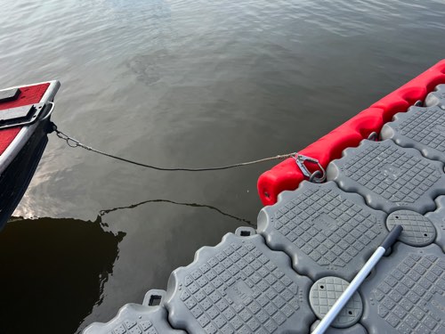 �ȳ��ǰ��͡�����ȯ����BEE �⤭�������������ַ� �⤭�ե�����/�ȹ礻�⼫��