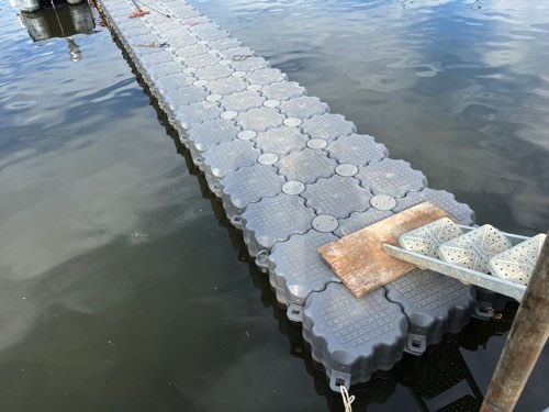 �ȳ��ǰ��͡�����ȯ����BEE �⤭�������������ַ� �⤭�ե�����/�ȹ礻�⼫��