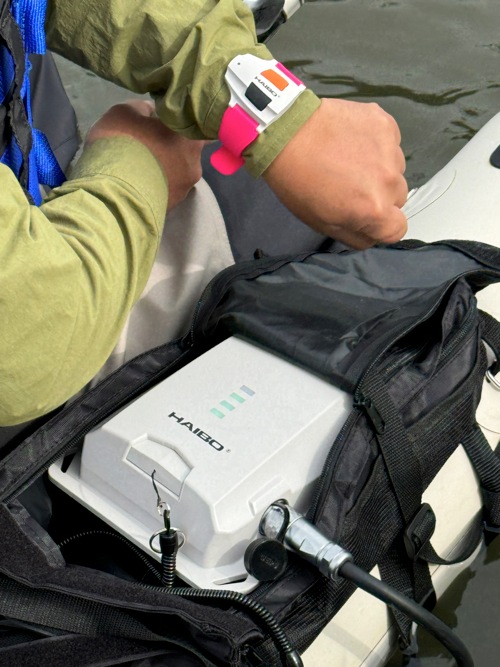 1����������٤롩��ˤΥ磻��쥹�⡼������� ��BEE ���ƥ륹�ե�������ST120��������Хåƥ꡼��ܡ�