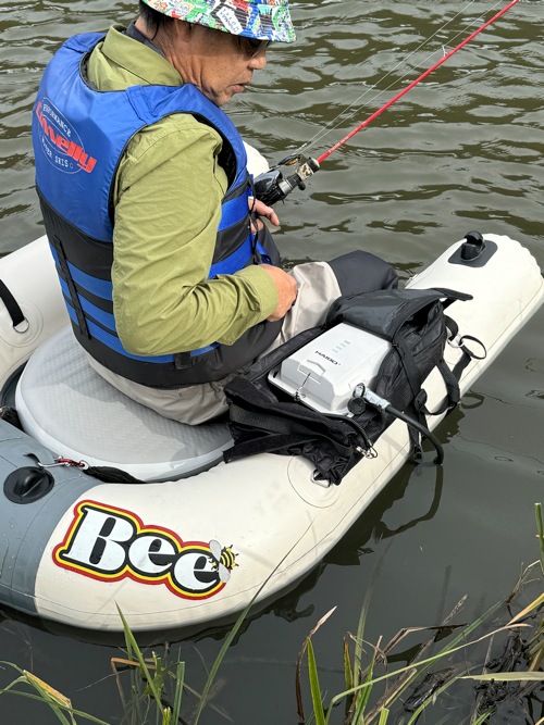 1����������٤롩��ˤΥ磻��쥹�⡼������� ��BEE ���ƥ륹�ե�������ST120��������Хåƥ꡼��ܡ�