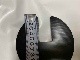���쥭�������ѥѥå�/�� 4��1��/��������