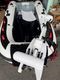 �͵���12V��ǥ롦 HAIBO ���ݥåȥ��å���P70/12V���͡�65LB�� ����ե�Ĺ�������򤤤������ޤ�