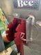 ���å��ꤷ�����Ρ�Karamas �ѥ��KP330�Ρ��ޥ롢�ǥå�̵��/47kg