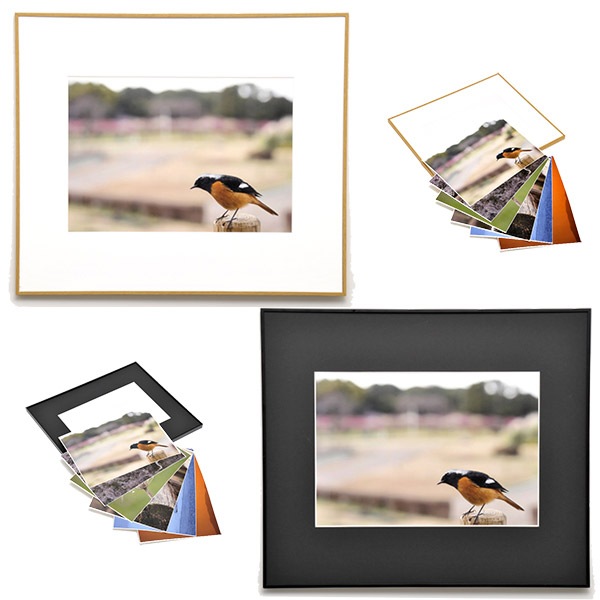 プロカメラマンによる風景写真（額装） WEBカメラマン オリジナル作品額装セット 07 山田芳文 「四季の鳥風景