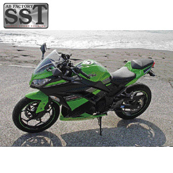 SST����ե����ȥ����� KAWASAKI NINJA250/Z250 2013y��2017y�ڥ��륶�֡�