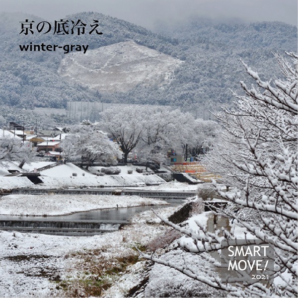 SMART MOVE  basic ���ޡ��ȥࡼ�� �١����å� �µ����ݳ�