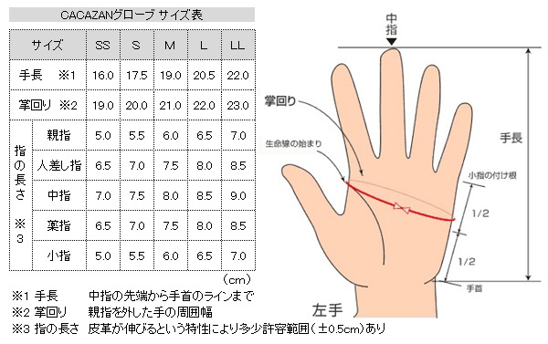 �������� �ɥ饤�ӥ󥰥������� CACAZAN KNR-071 ���졼 �ͥ��ӡ�