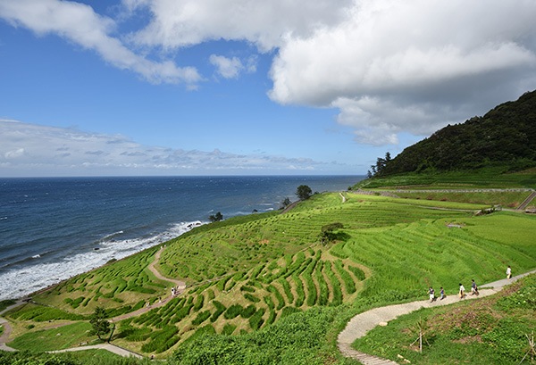 WEB�����ޥ� ���ꥸ�ʥ���ʳ������å� 01 ������Ƿ �������γ���ʤ��ˤ��ˡˤ����