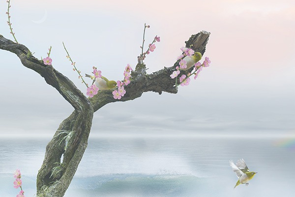 WEB�����ޥ� ���ꥸ�ʥ���ʳ������å� 03 �Ҳ��� ��wind of colors ���¤�̿���