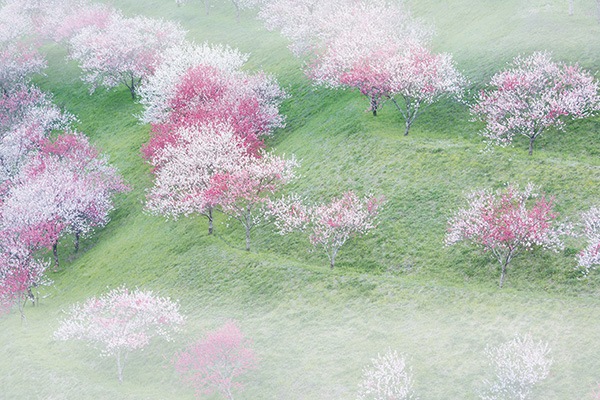 WEB�����ޥ� ���ꥸ�ʥ���ʳ������å� 03 �Ҳ��� ��wind of colors ���¤�̿���