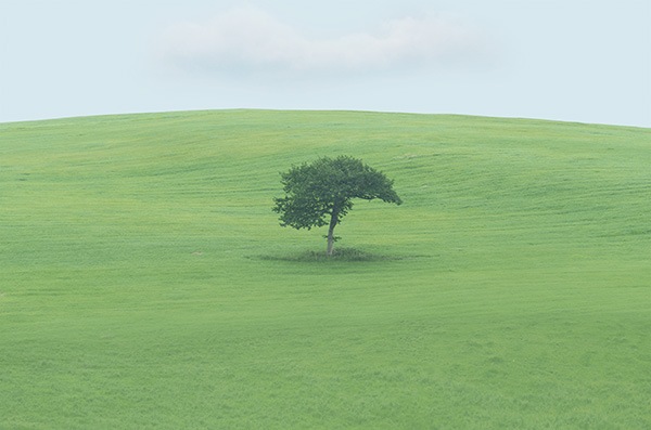 WEB�����ޥ� ���ꥸ�ʥ���ʳ������å� 03 �Ҳ��� ��wind of colors ���¤�̿���