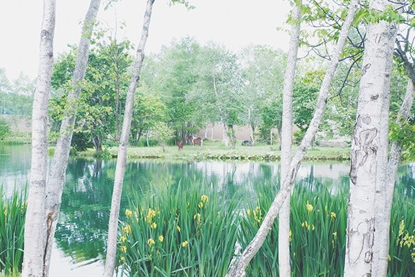 WEB�����ޥ� ���ꥸ�ʥ���ʳ������å� 03 �Ҳ��� ��wind of colors ���¤�̿���