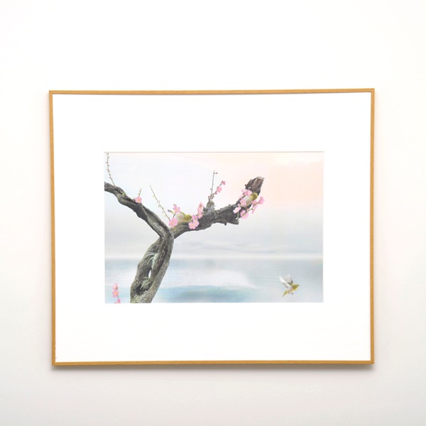 WEB�����ޥ� ���ꥸ�ʥ���ʳ������å� 03 �Ҳ��� ��wind of colors ���¤�̿���