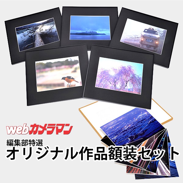 WEB�����ޥ� ���ꥸ�ʥ���ʳ������å� 03 �Ҳ��� ��wind of colors ���¤�̿���