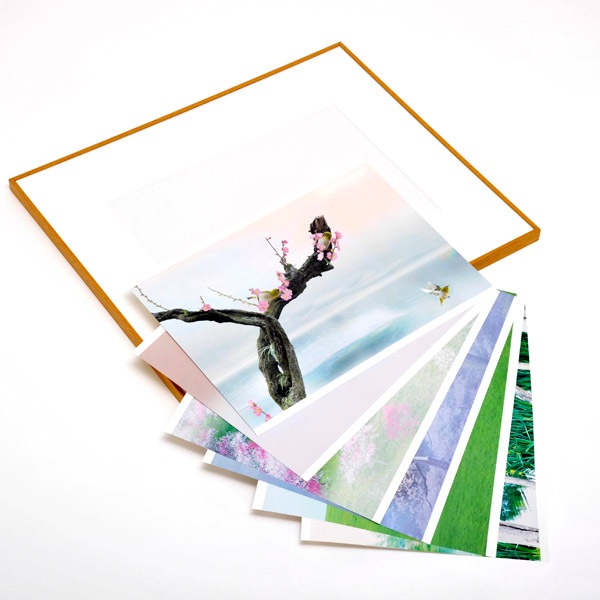 WEB�����ޥ� ���ꥸ�ʥ���ʳ������å� 03 �Ҳ��� ��wind of colors ���¤�̿���