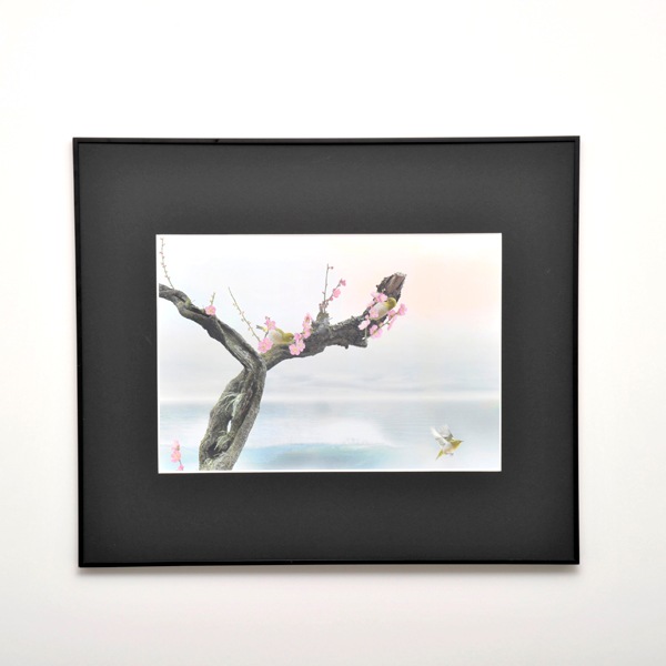 WEB�����ޥ� ���ꥸ�ʥ���ʳ������å� 03 �Ҳ��� ��wind of colors ���¤�̿���