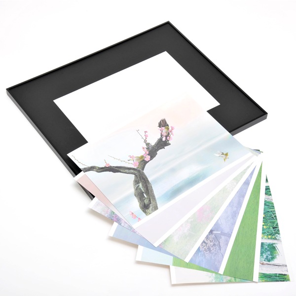 WEB�����ޥ� ���ꥸ�ʥ���ʳ������å� 03 �Ҳ��� ��wind of colors ���¤�̿���