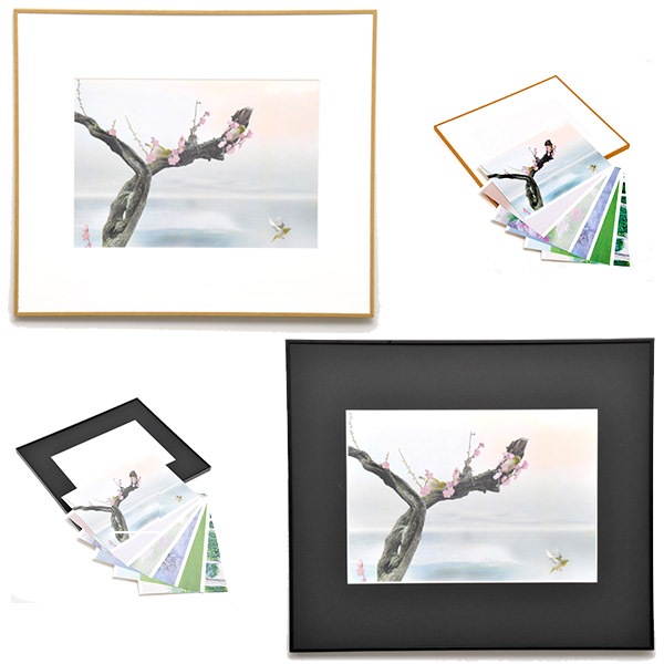 WEB�����ޥ� ���ꥸ�ʥ���ʳ������å� 03 �Ҳ��� ��wind of colors ���¤�̿���