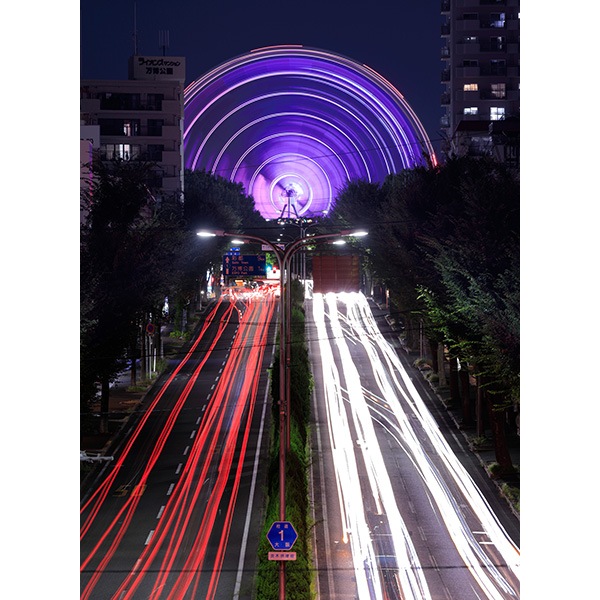 WEB�����ޥ� ���ꥸ�ʥ���ʳ������å� 04 �����е� �ָ����� Light Trails ����