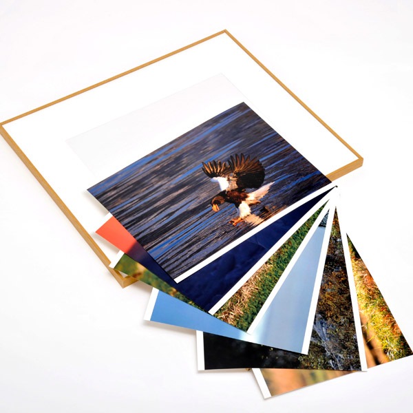 WEB�����ޥ� ���ꥸ�ʥ���ʳ������å� 06 ���ͳ� ������ɡ��ɹ����Ļ��