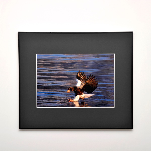 WEB�����ޥ� ���ꥸ�ʥ���ʳ������å� 06 ���ͳ� ������ɡ��ɹ����Ļ��