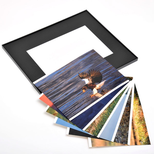 WEB�����ޥ� ���ꥸ�ʥ���ʳ������å� 06 ���ͳ� ������ɡ��ɹ����Ļ��