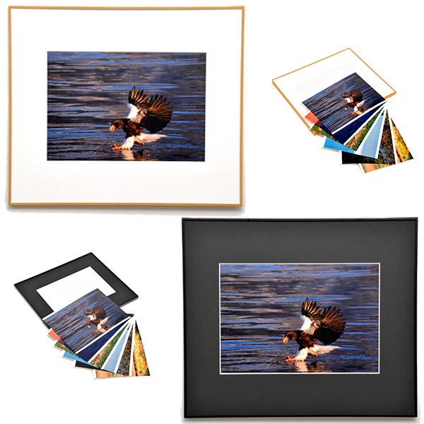 WEB�����ޥ� ���ꥸ�ʥ���ʳ������å� 06 ���ͳ� ������ɡ��ɹ����Ļ��