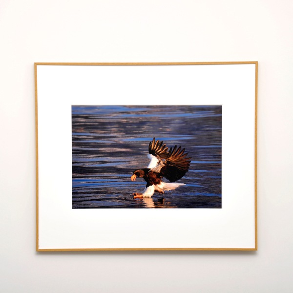 WEB�����ޥ� ���ꥸ�ʥ���ʳ������å� 06 ���ͳ� ������ɡ��ɹ����Ļ��