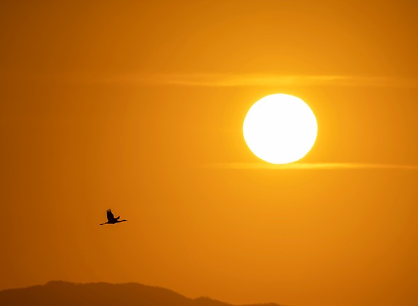 WEB�����ޥ� ���ꥸ�ʥ���ʳ������å� 07 ����˧ʸ �ֻ͵���Ļ���ʡ�