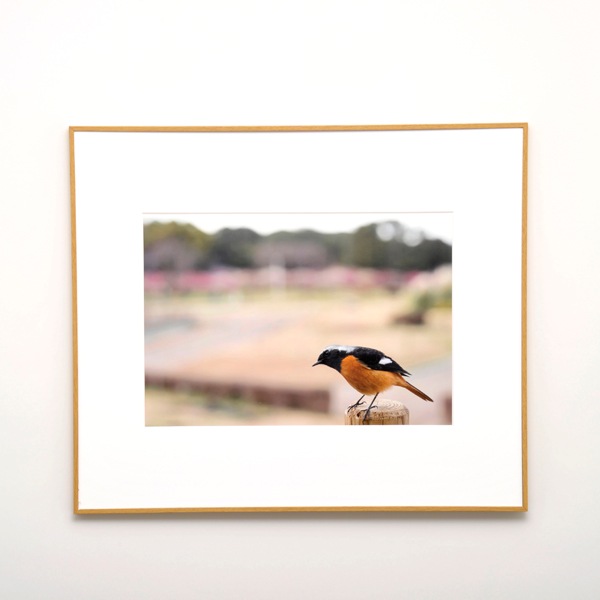 WEB�����ޥ� ���ꥸ�ʥ���ʳ������å� 07 ����˧ʸ �ֻ͵���Ļ���ʡ�