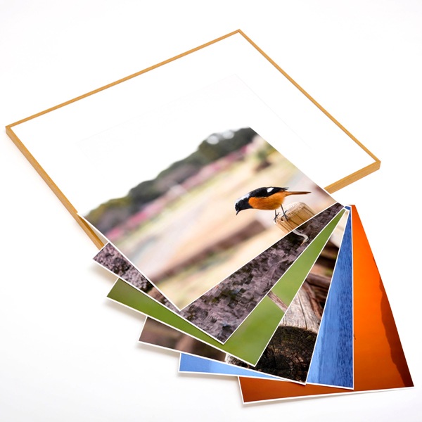 WEB�����ޥ� ���ꥸ�ʥ���ʳ������å� 07 ����˧ʸ �ֻ͵���Ļ���ʡ�