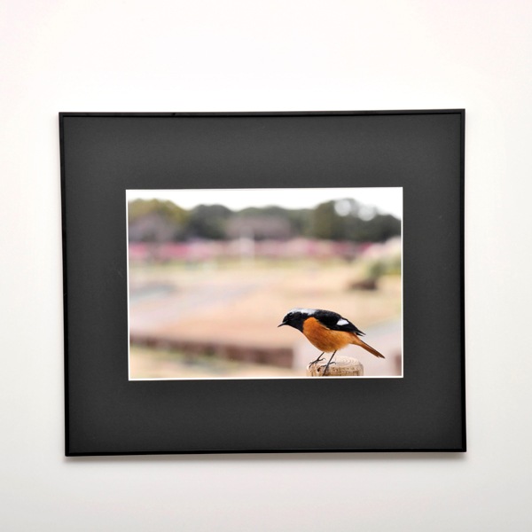 WEB�����ޥ� ���ꥸ�ʥ���ʳ������å� 07 ����˧ʸ �ֻ͵���Ļ���ʡ�