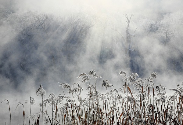 WEB�����ޥ� ���ꥸ�ʥ���ʳ������å� 08 ���ܽ�� �֥��।�����ϡ�