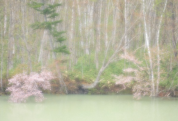 WEB�����ޥ� ���ꥸ�ʥ���ʳ������å� 08 ���ܽ�� �֥��।�����ϡ�