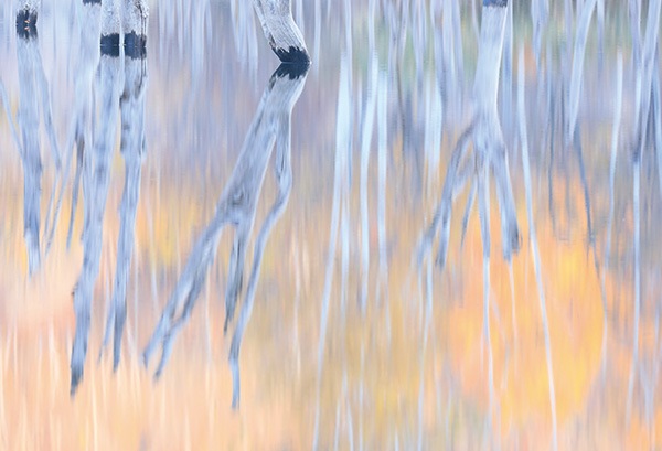 WEB�����ޥ� ���ꥸ�ʥ���ʳ������å� 08 ���ܽ�� �֥��।�����ϡ�