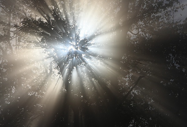 WEB�����ޥ� ���ꥸ�ʥ���ʳ������å� 08 ���ܽ�� �֥��।�����ϡ�